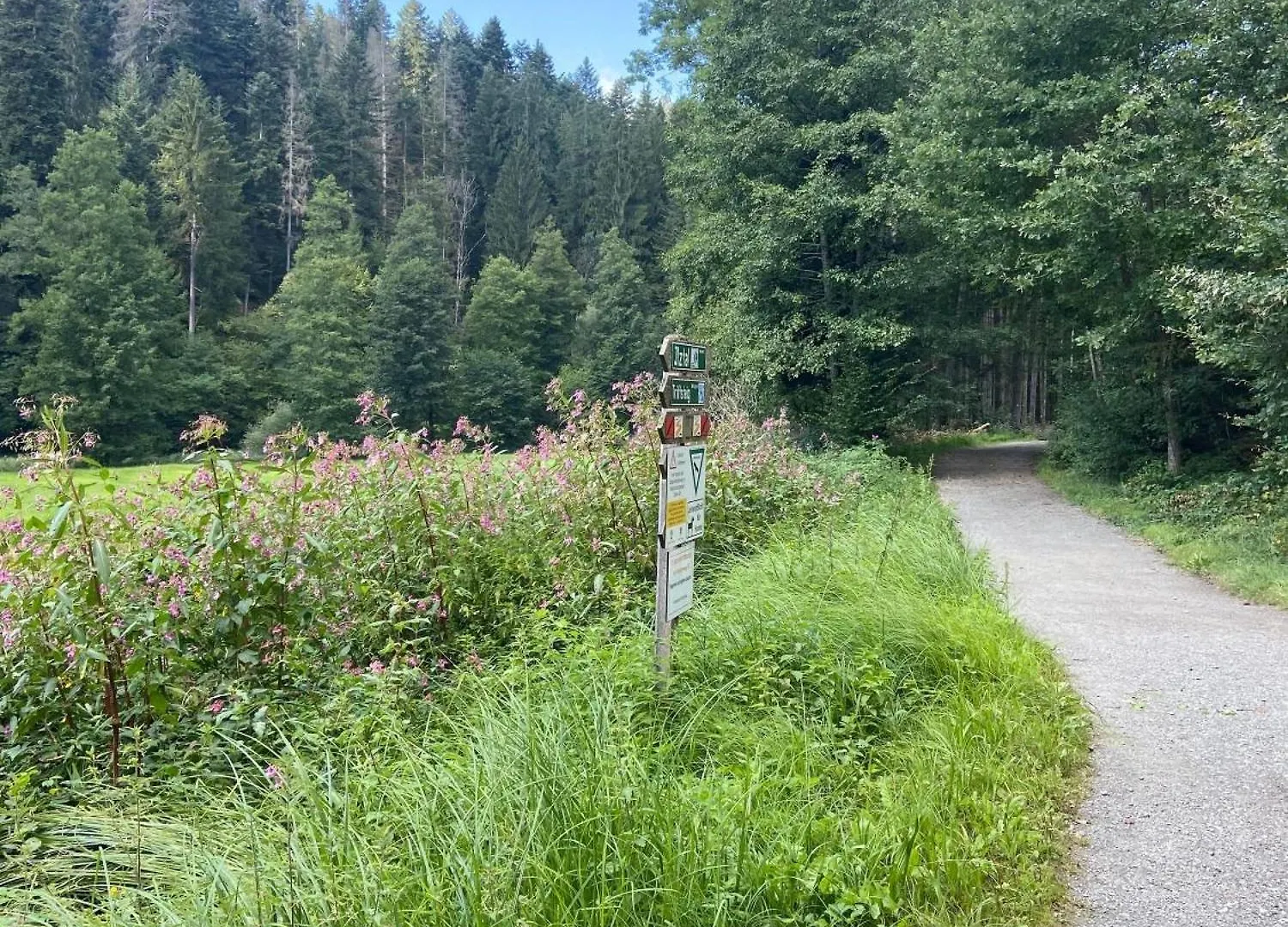 4 Sterne Ferienwohnung Rosengarten Nur Fuer Urlaubsgaeste Fursteneck