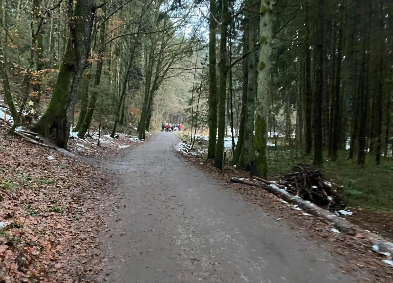 4 Sterne Ferienwohnung Rosengarten Nur Fuer Urlaubsgaeste Fursteneck 0*,