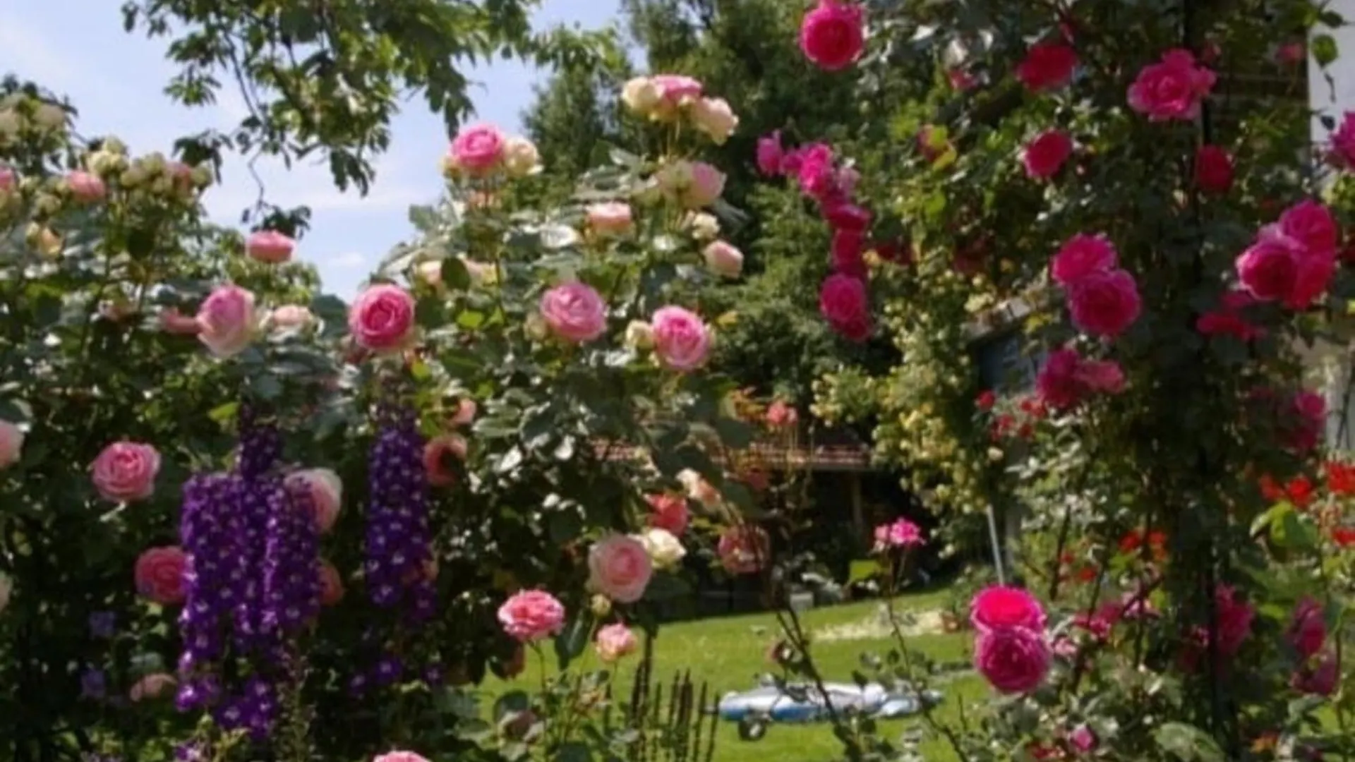 Appartamento 4 Sterne Ferienwohnung Rosengarten Nur Fuer Urlaubsgaeste Fursteneck