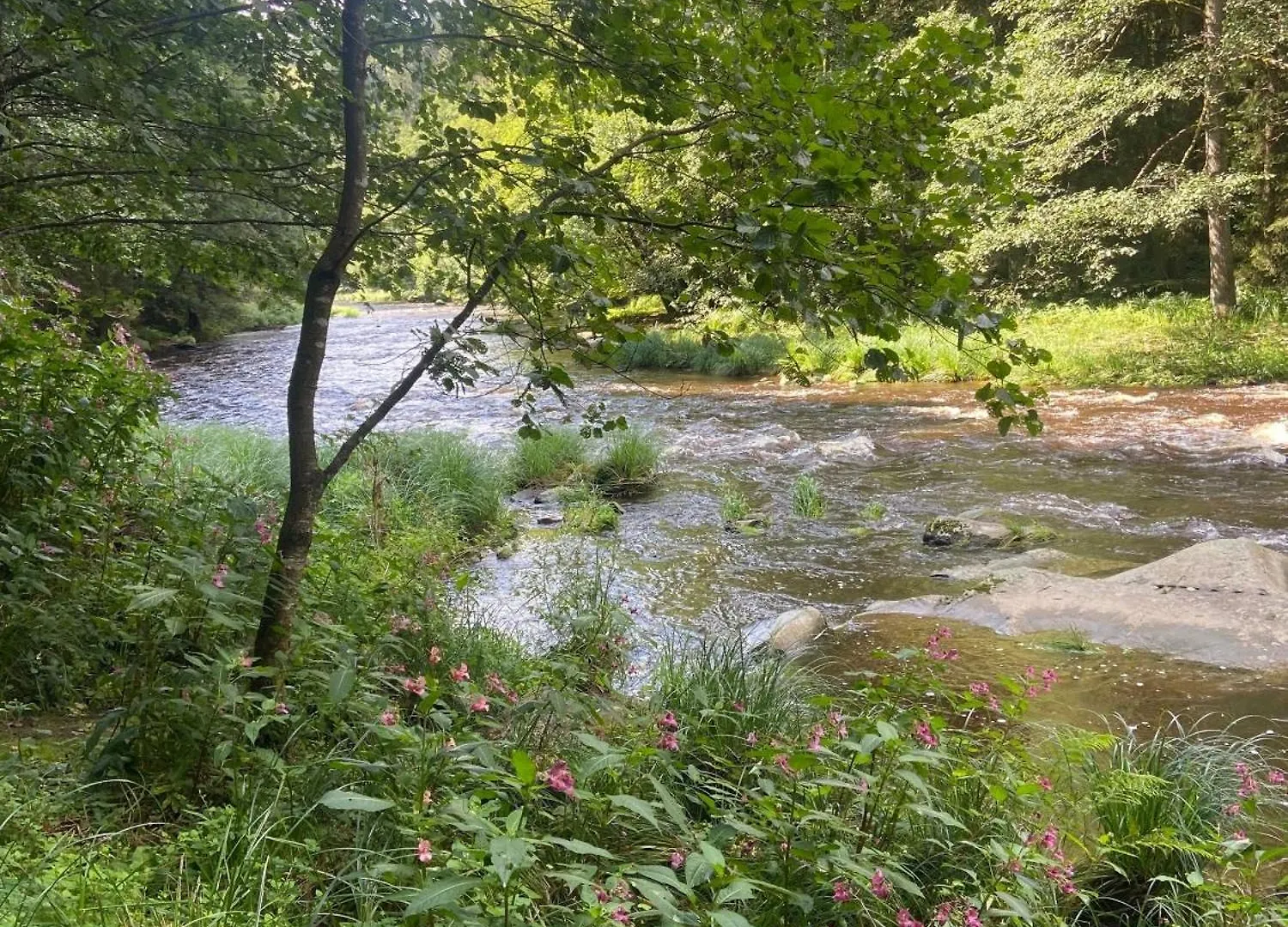 4 Sterne Ferienwohnung Rosengarten Nur Fuer Urlaubsgaeste Fursteneck Appartamento